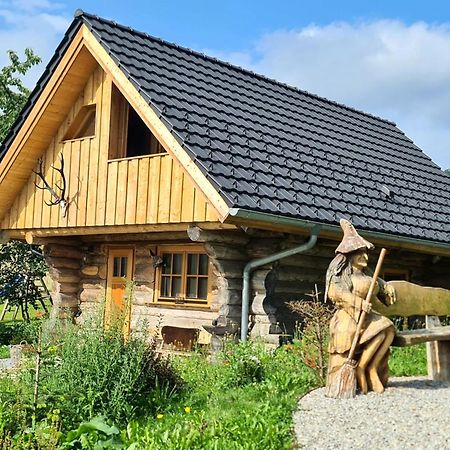 Blockhaus Panhuette Villa Braunlage Eksteriør billede