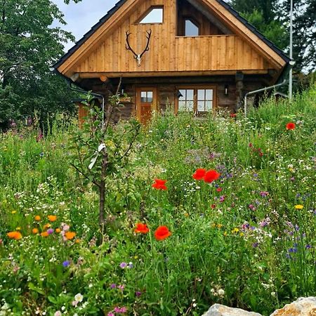 Blockhaus Panhuette Villa Braunlage Eksteriør billede