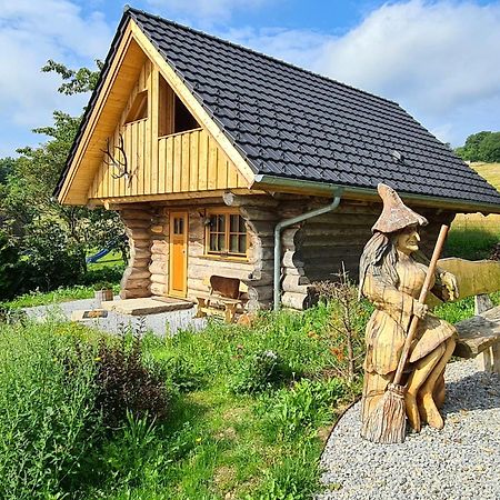 Blockhaus Panhuette Villa Braunlage Eksteriør billede