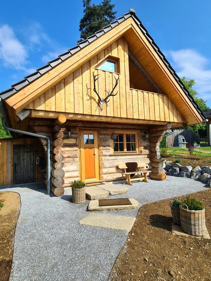 Blockhaus Panhuette Villa Braunlage Eksteriør billede