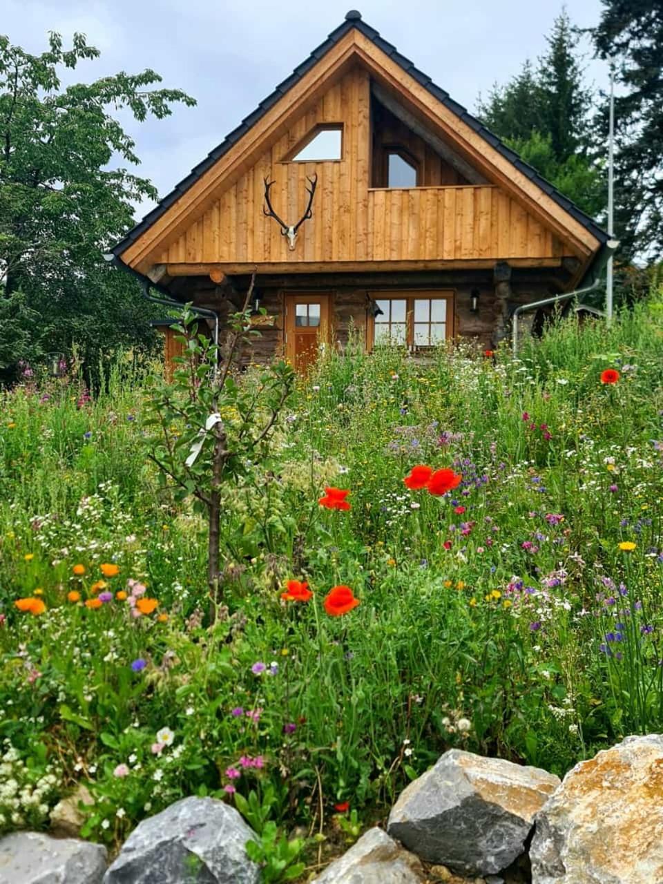 Blockhaus Panhuette Villa Braunlage Eksteriør billede
